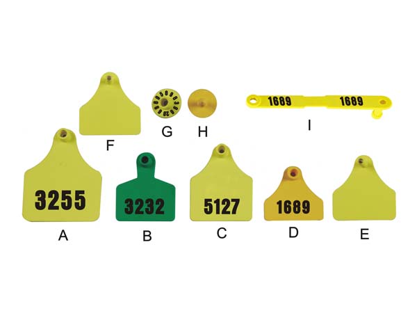 Thẻ đeo tai đã in số